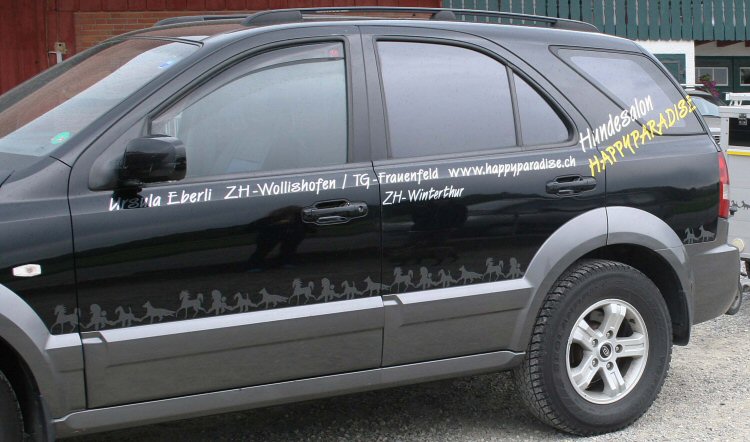 Autoscheiben tönen - Scheiben tönen