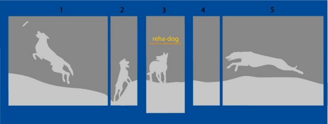 Schaufensterbeschriftung - Schaufenstergestaltung - Schaufensterdesign
