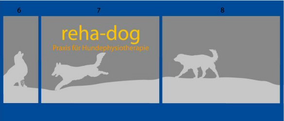 Schaufenster Beschriftung - Schaufenster Dekoration - Schaufenster Deko